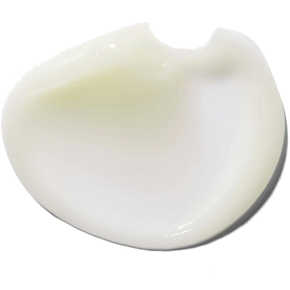 Erborian Bamboo Cream Frappée
