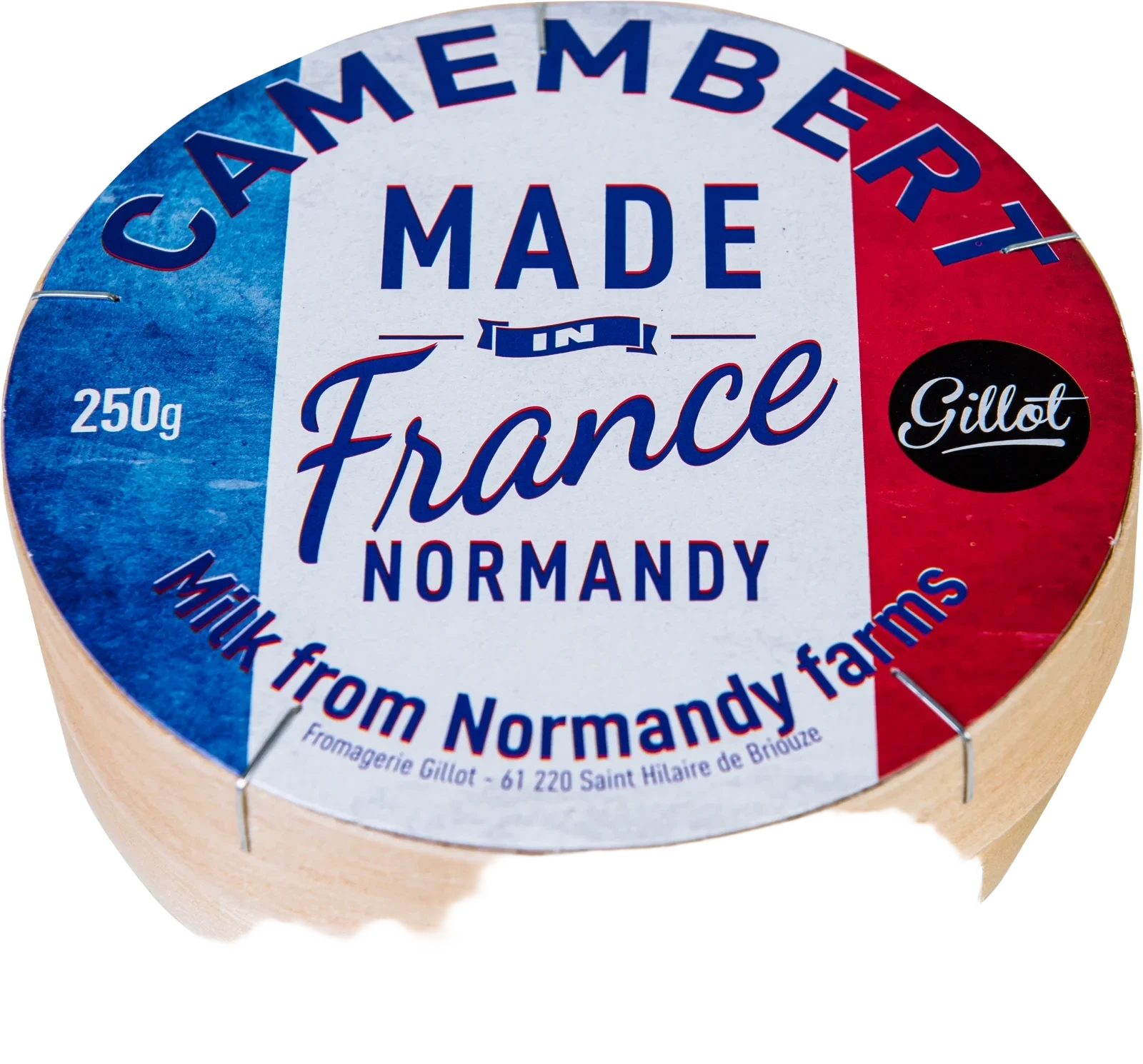 Camembert vitmögelost