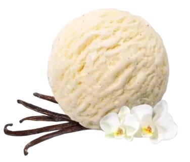 Mövenpick Vanilla 5l