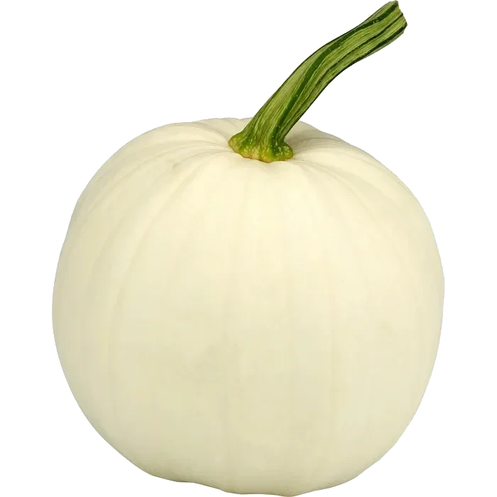 Pumpa vit 1 pack Klass 1 ICA