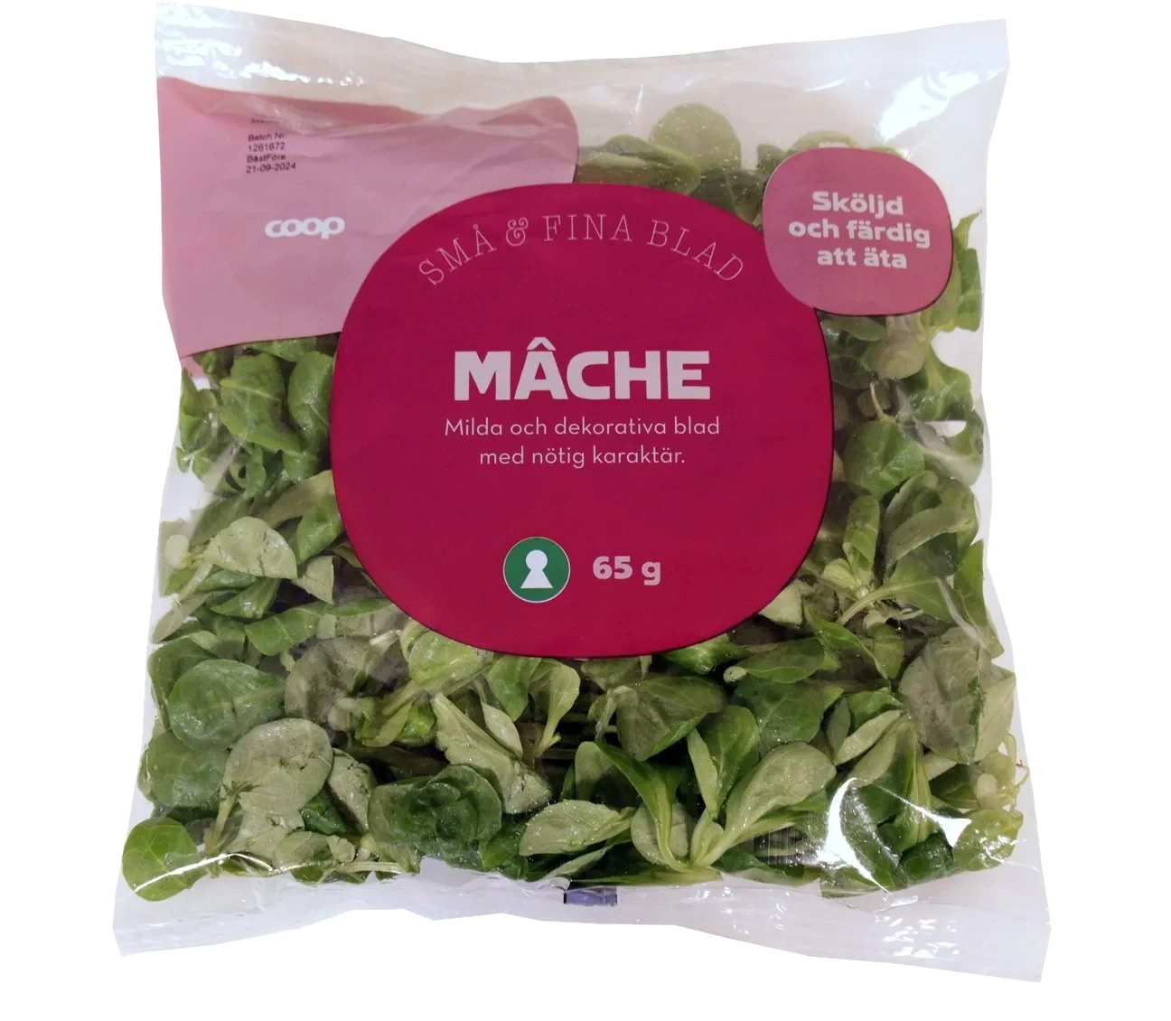 Coop Mâche