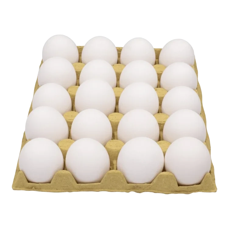 Egg Frittgående M 20stk Toten
