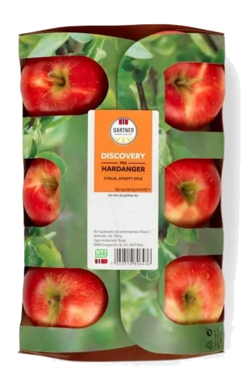 Epler Discovery Gartner