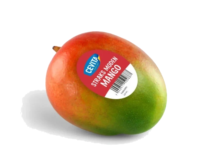 Mango stykk Cevita