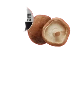Shiitake tørket 20g