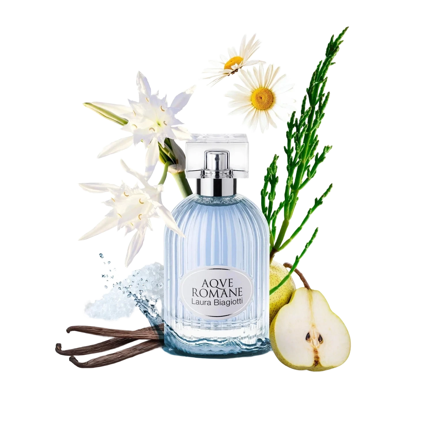Laura Biagiotti Aqve Romane Rubus Maris