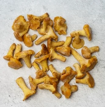 Kantareller