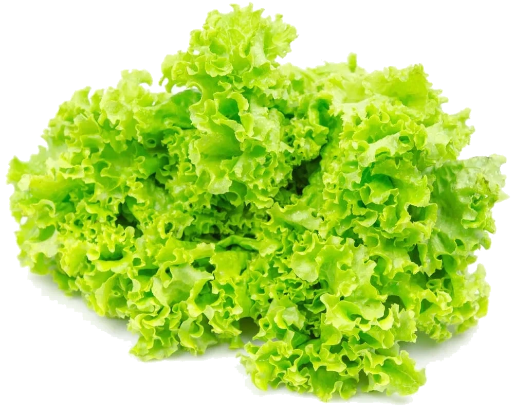 Crispisalat Beger, Norge, 150 g