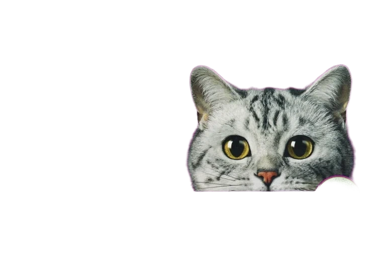 Whiskas Core 1+ Fish Selection In Jelly