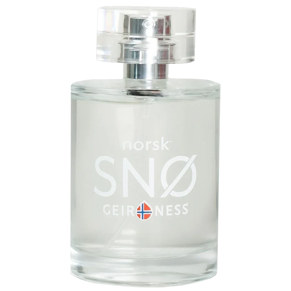 Geir Ness SNØ