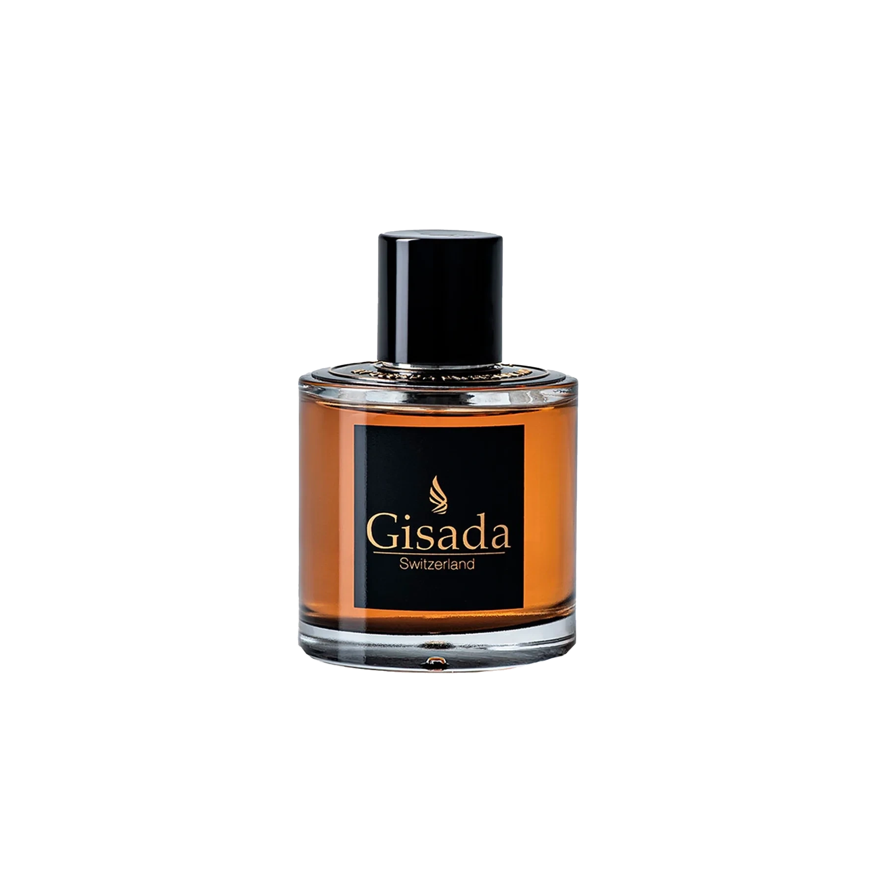 Gisada Ambassador Men Eau de Parfum 100 ml