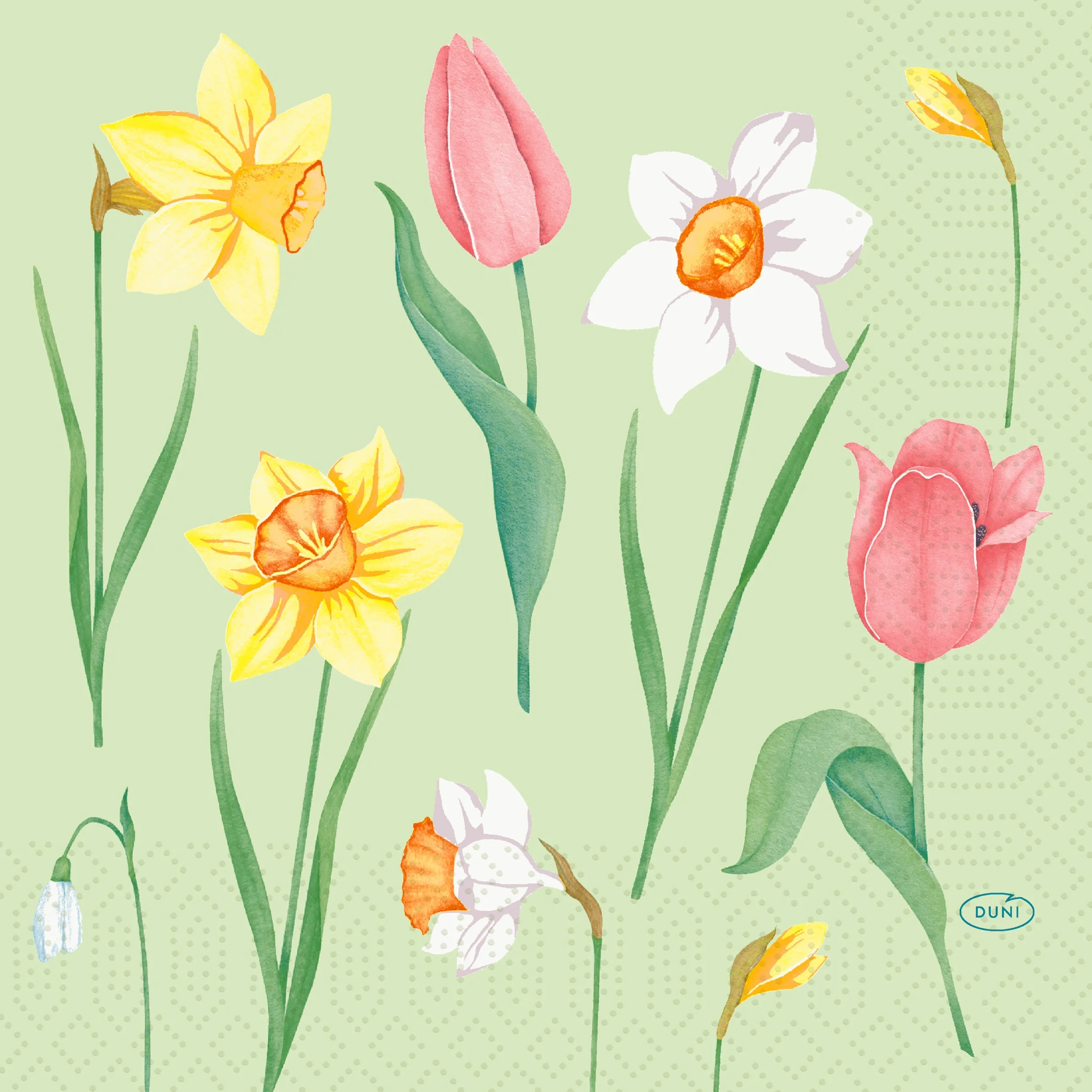 issueservett Sprin