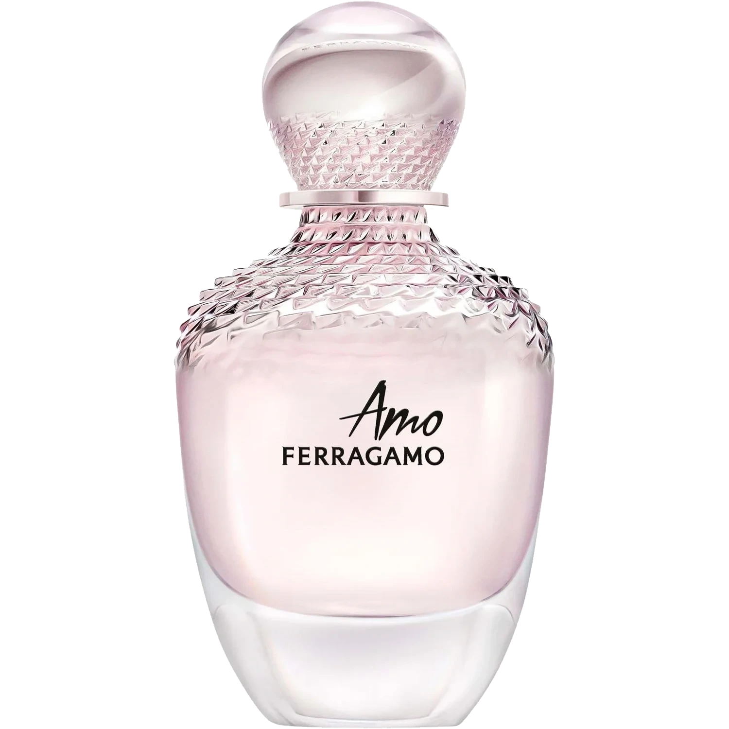 Ferragamo Amo