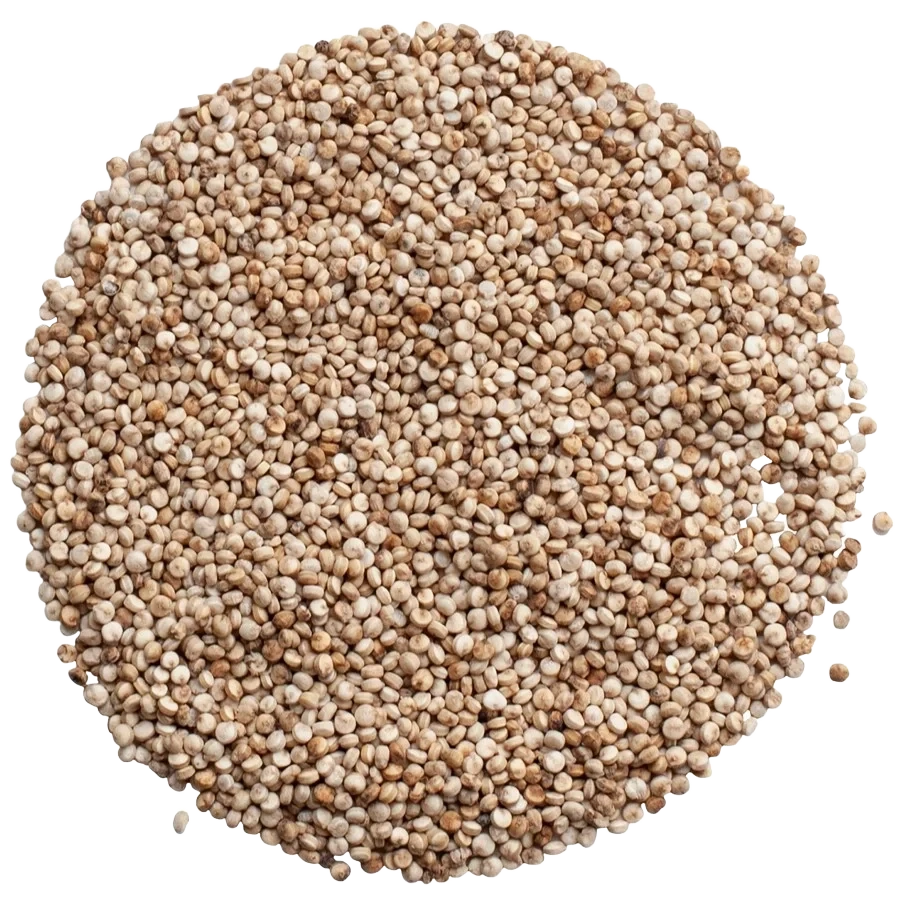 Quinoa Vikinga, helt frö KRAV
