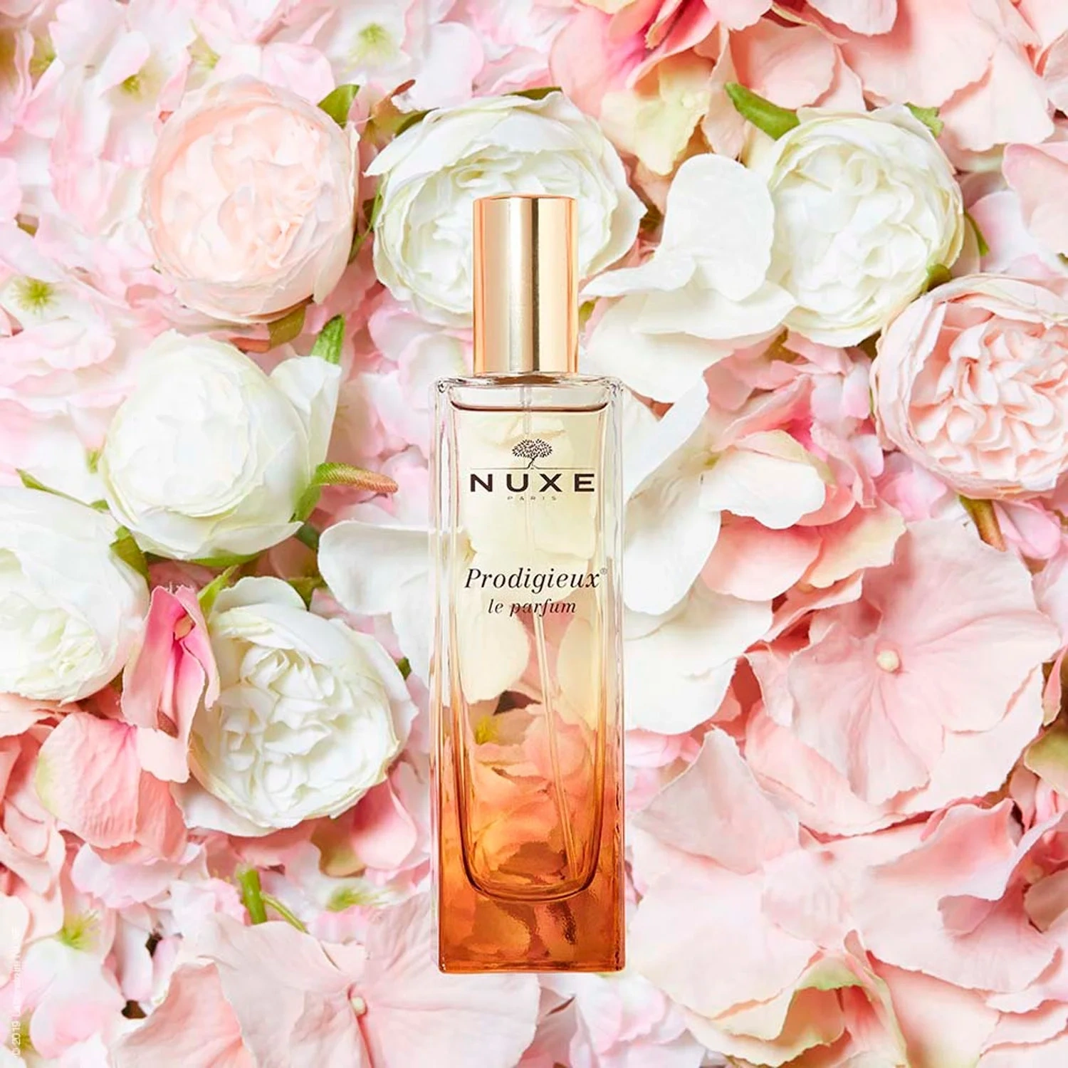Nuxe Prodigieux Le Parfum