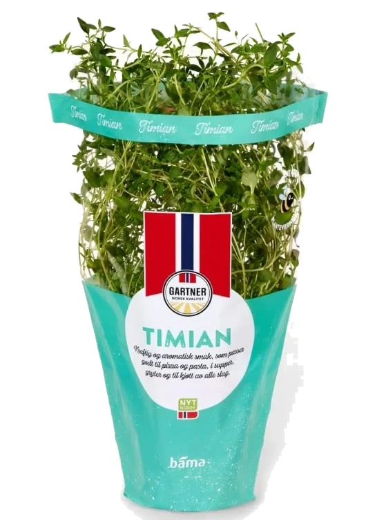 Timian 9cm Potte Gartner