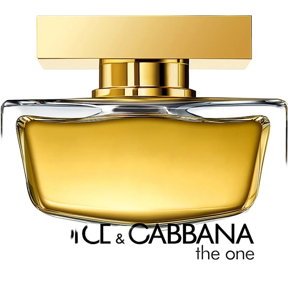 Dolce & Gabbana The One