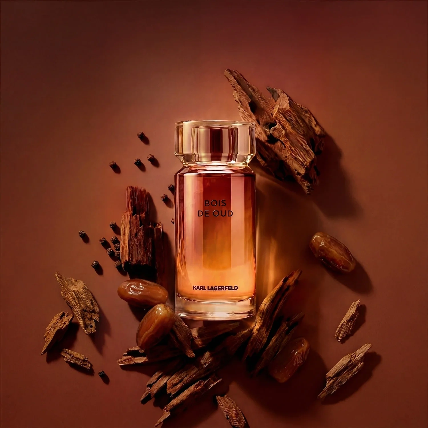 Karl Lagerfeld Les Parfums Matières Bois de Oud