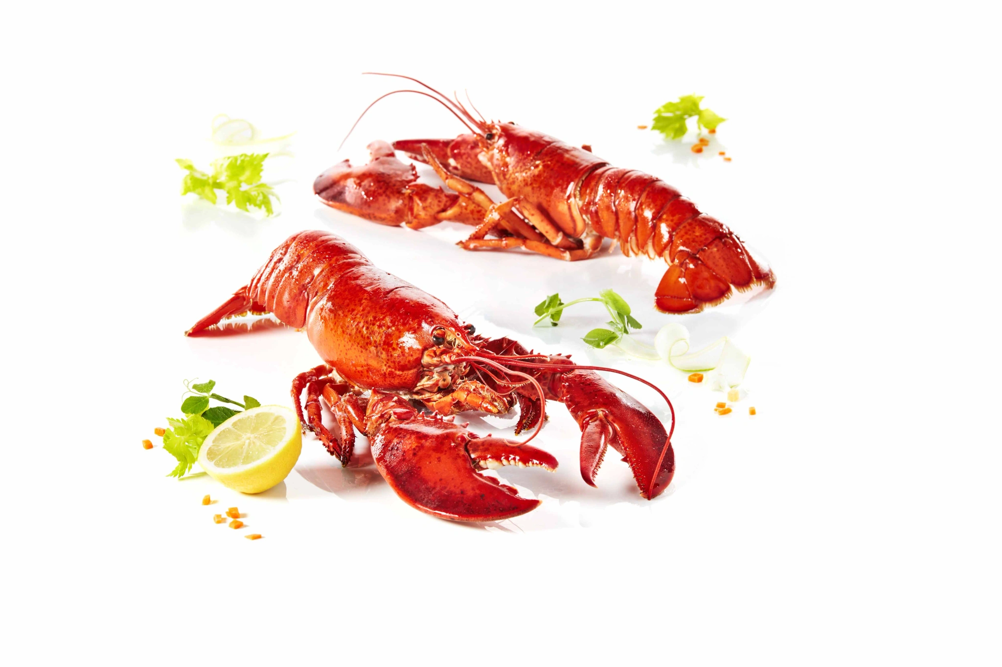 Hel hummer, kokad 350-450g