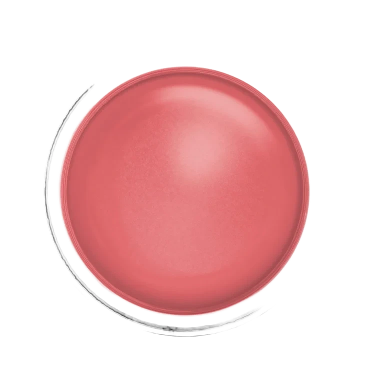 Cloudtopia Dreamy Dawn Mousse 9
