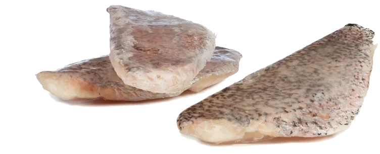 Barramundi filet med skinn 8-10 oz  10kg