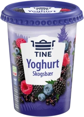 Yoghurt skogsbær 500g