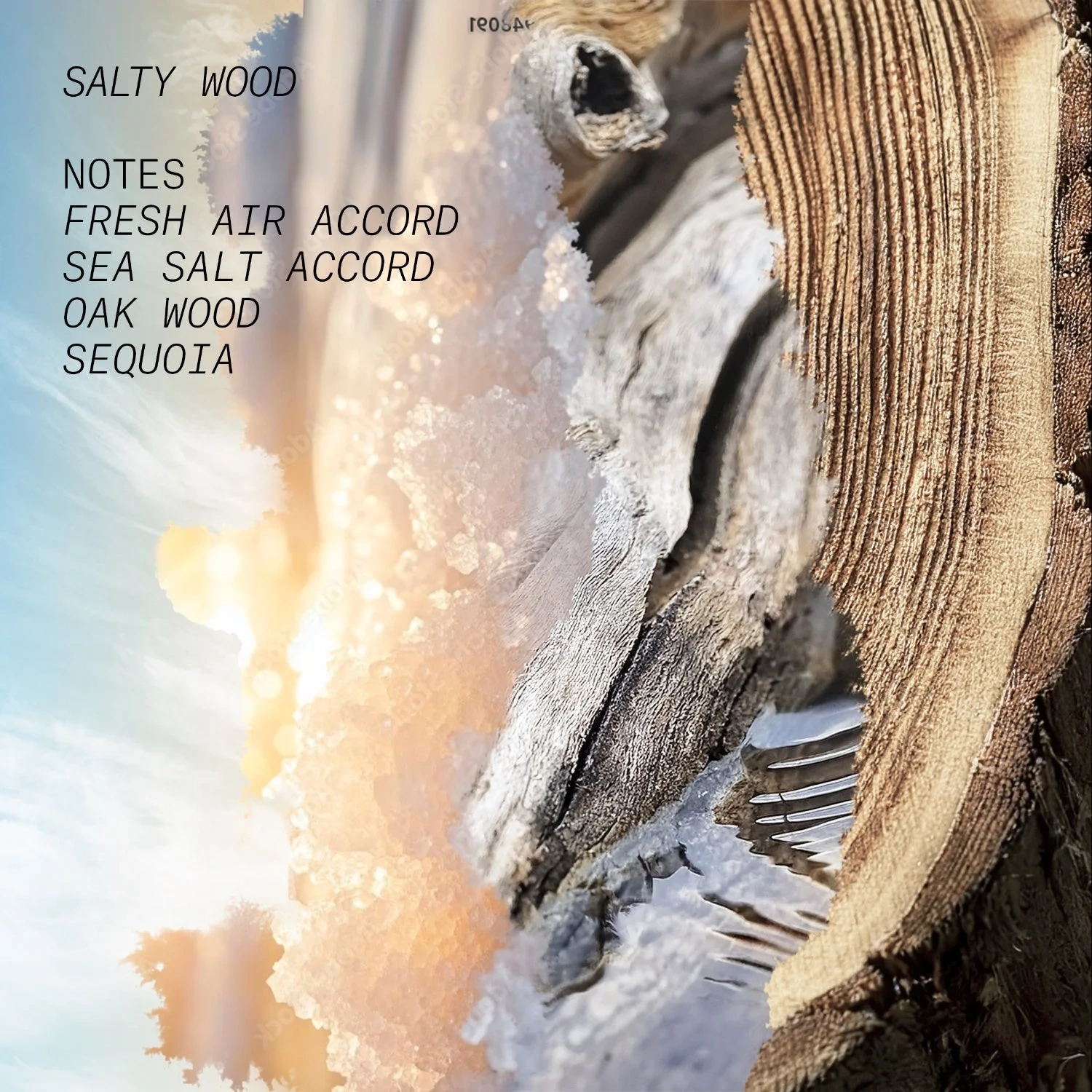 Látelier Parfum SALTY WOOD
