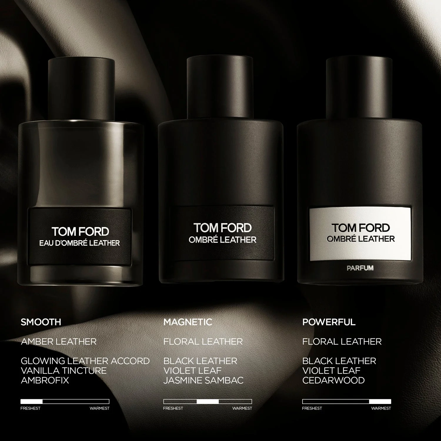 Tom Ford Ombré Leather
