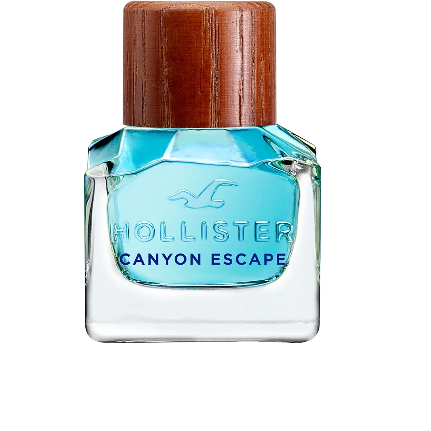 Hollister Canyon Escape For Him