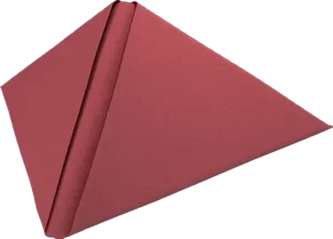 Dunilin®-Serviette Bordeaux