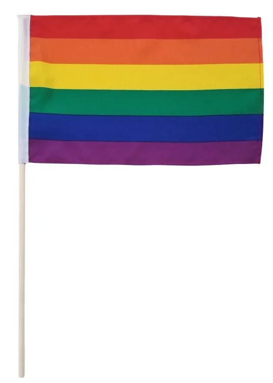 Pride Håndflagg 20x30cm