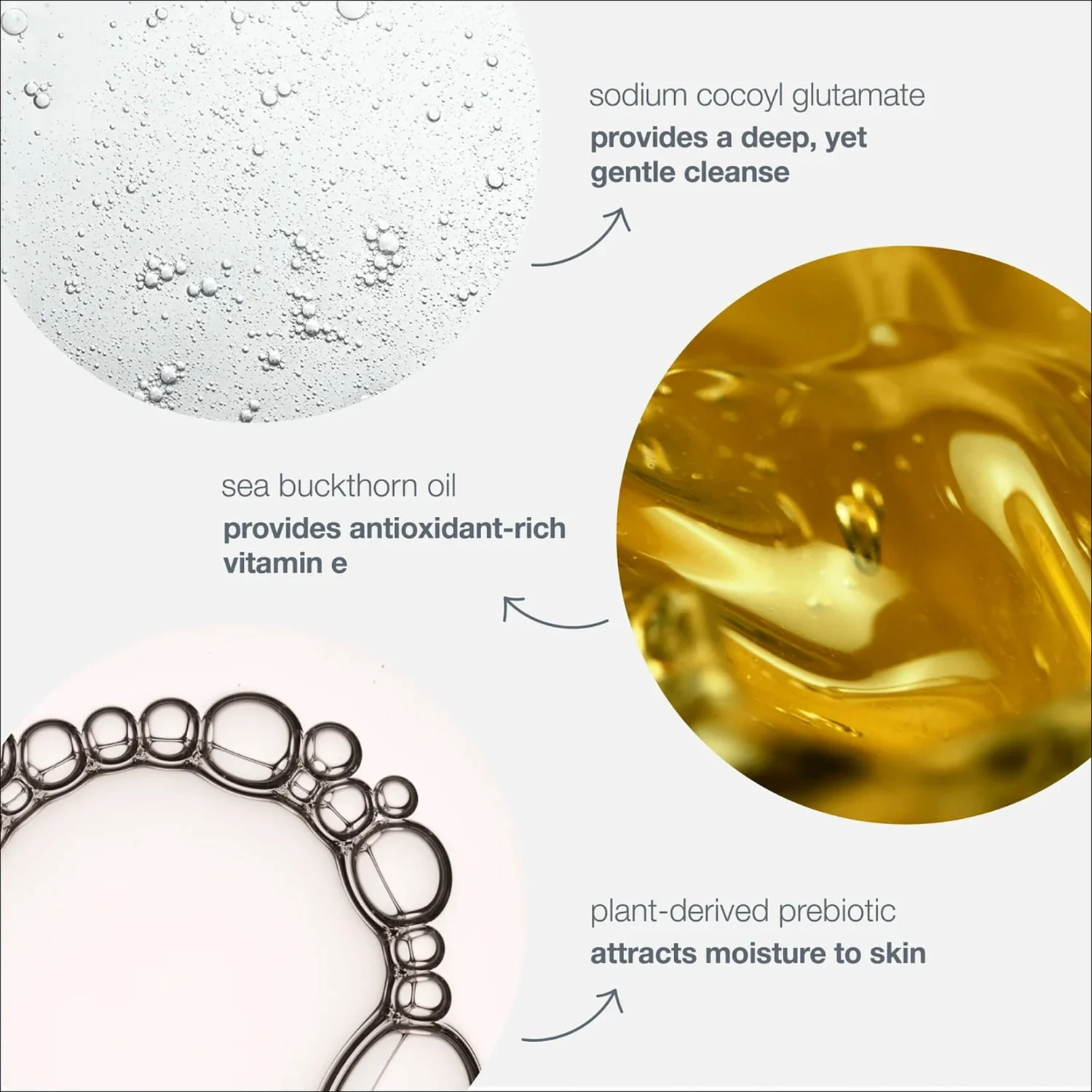 Dermalogica Oil to Foam Cleanser