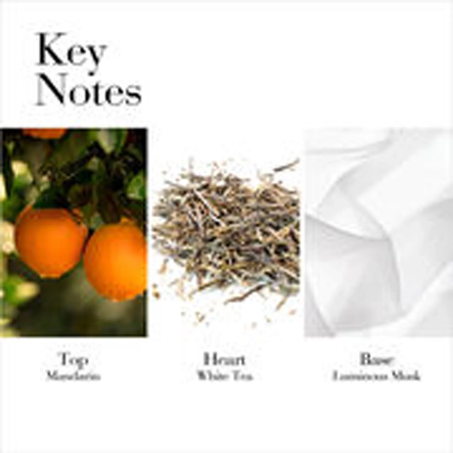 Elizabeth Arden White Tea Mandarin Blossom