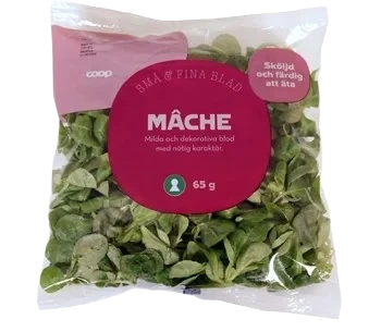 Coop Mâche