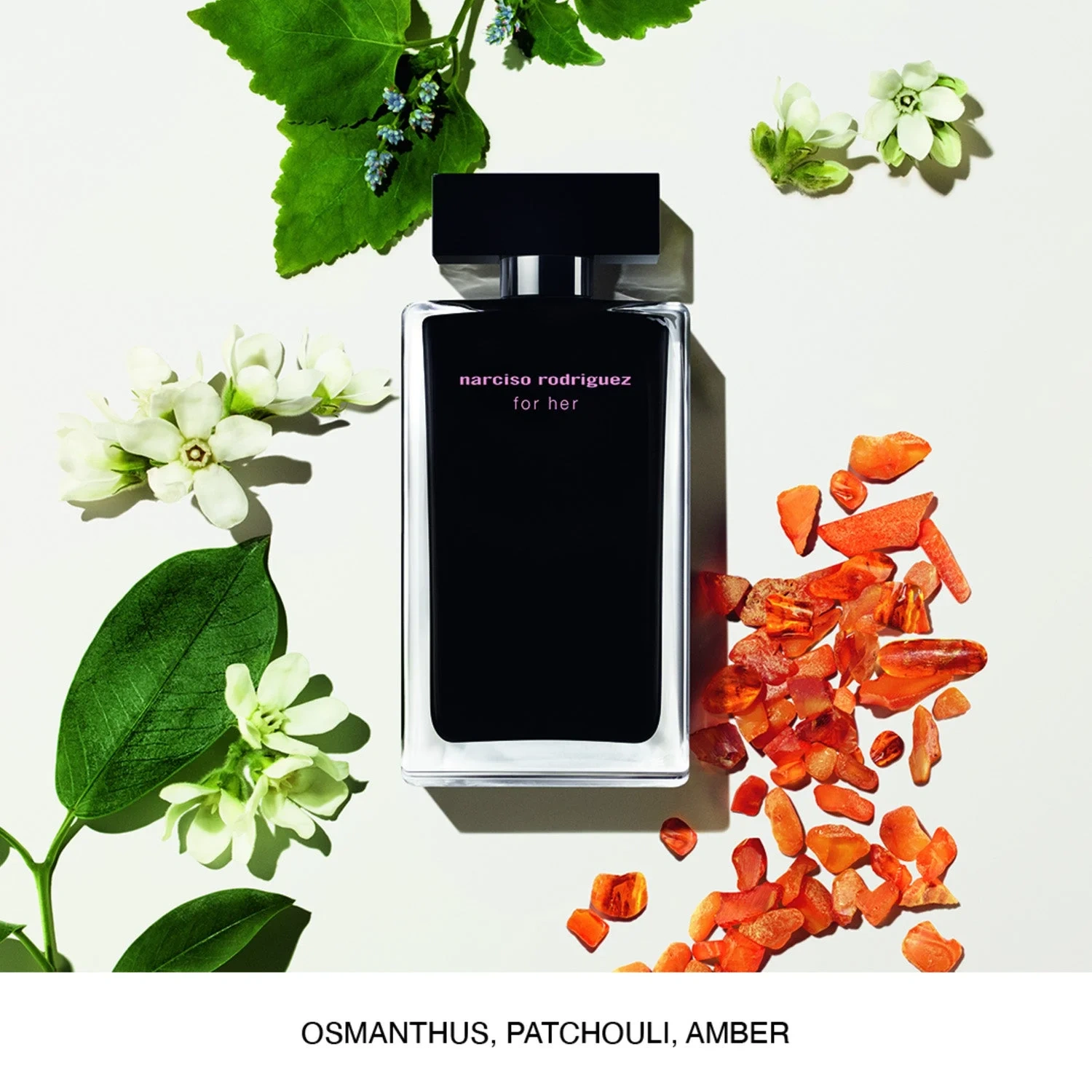 Narciso Rodriguez For Her