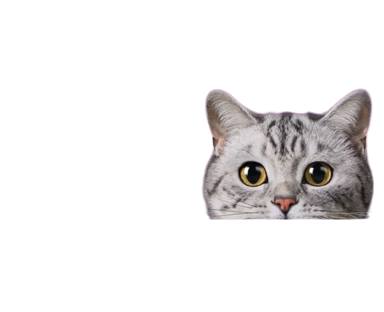 Whiskas Core 7+ Fish Selection In Jelly