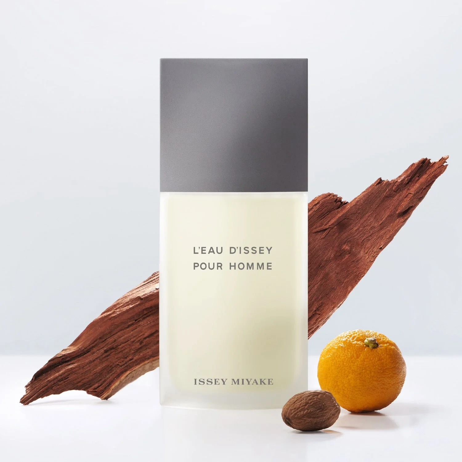 Issey Miyake L'Eau D'issey Pour Homme