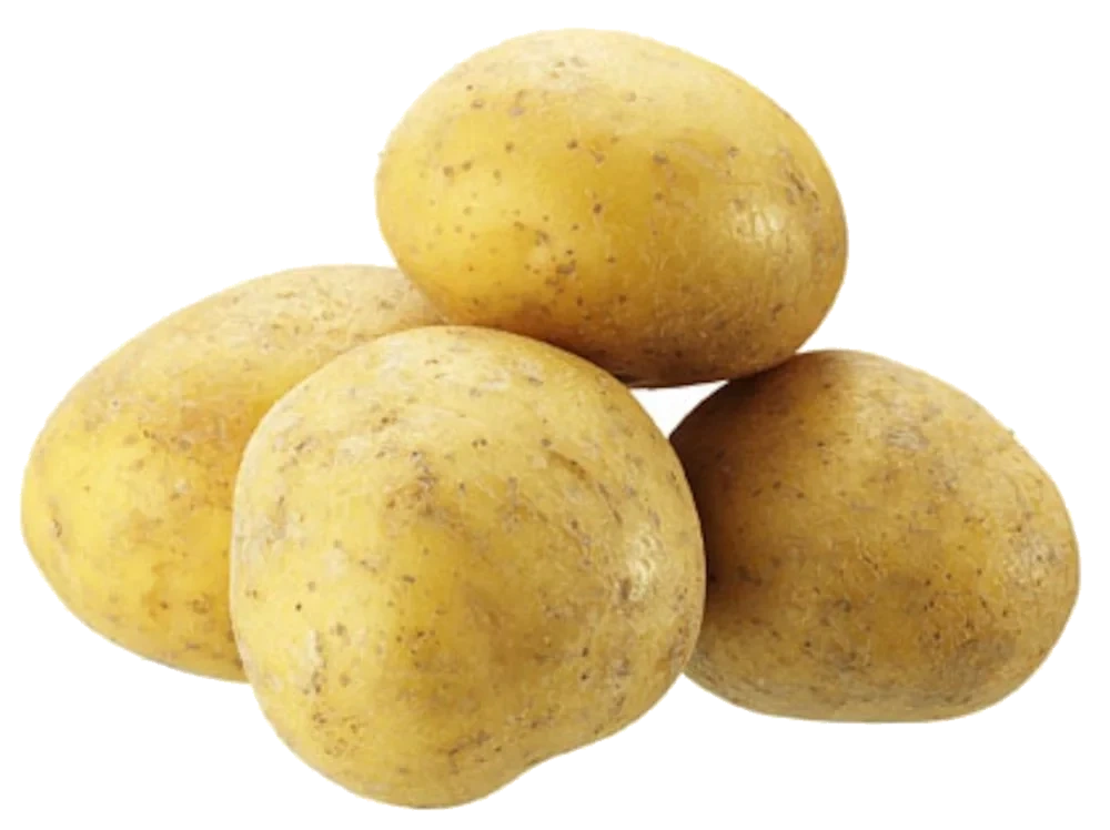 Kulpotatis tvättad