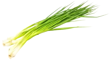 Spring Onion 80g So Fresh