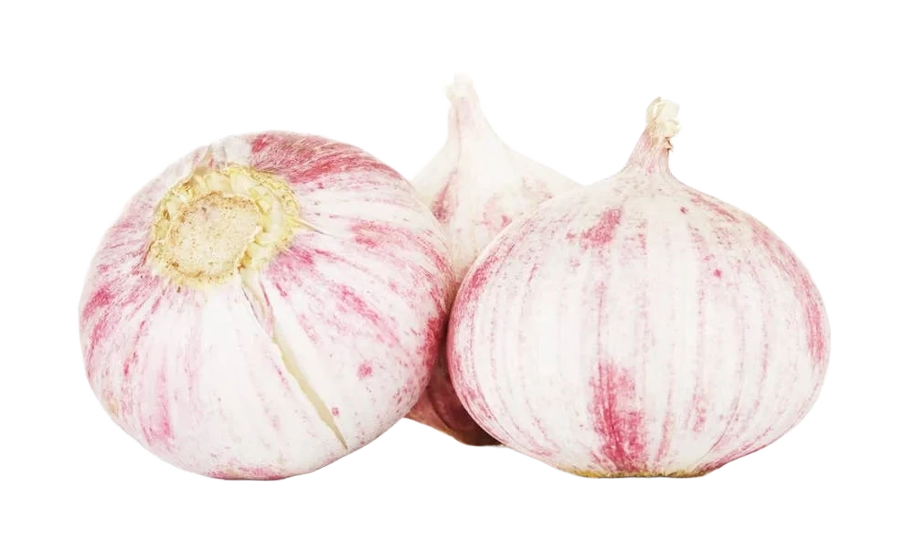 Kinesisk Hvitløk u/fedd