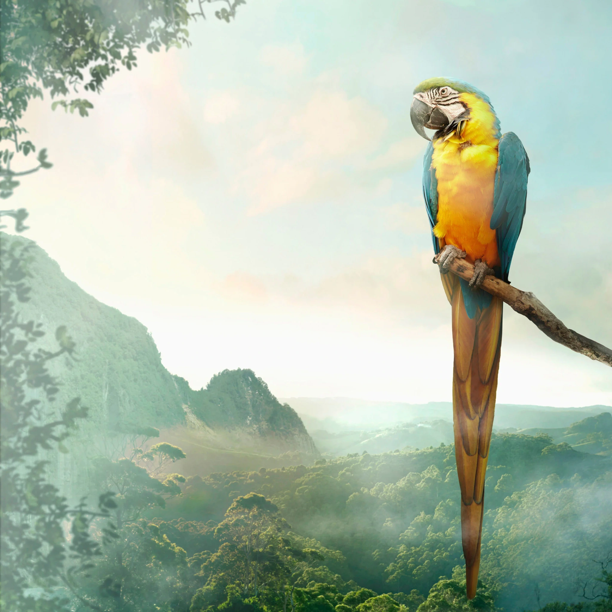 Tissue-Serviette Parrot