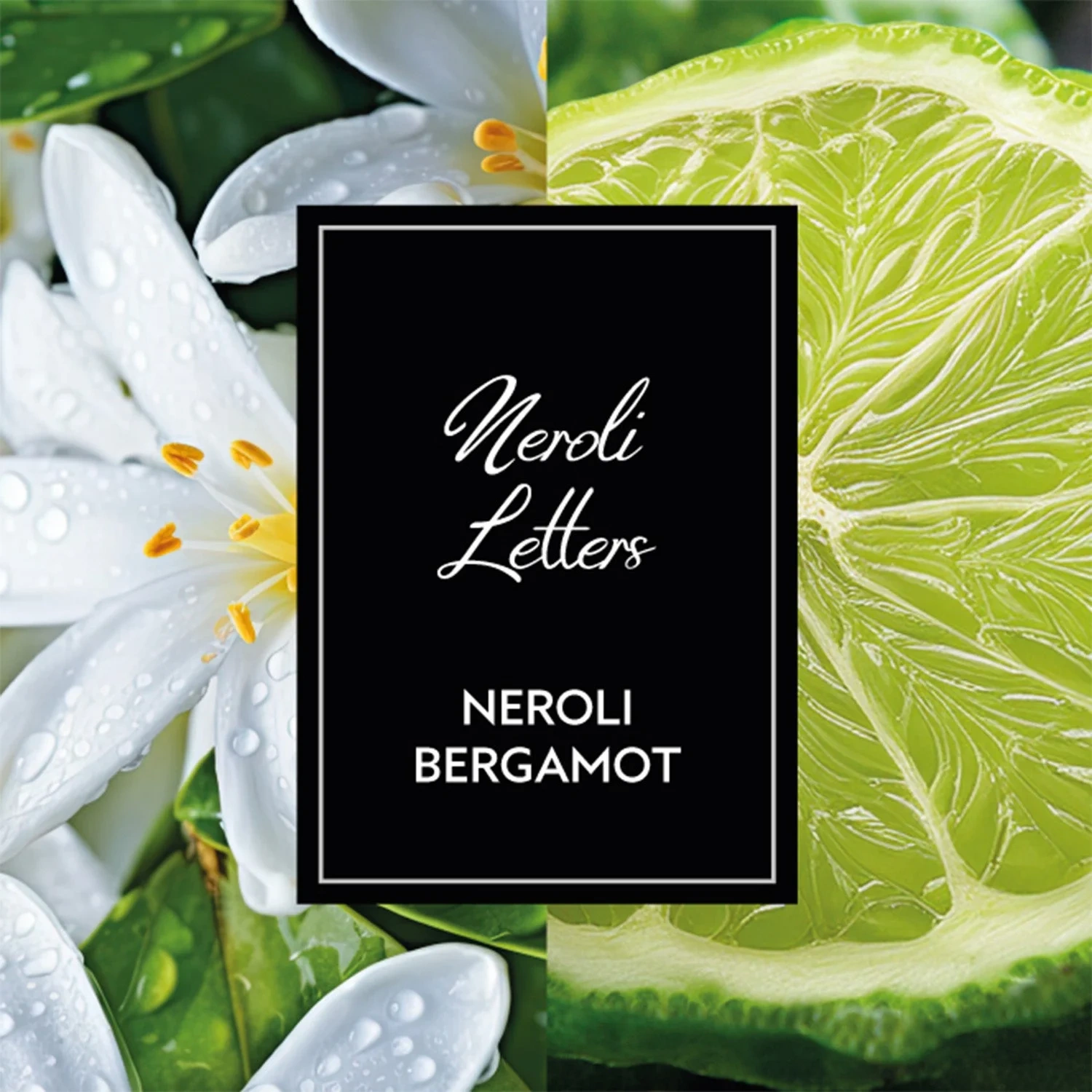 Montblanc Neroli Letters