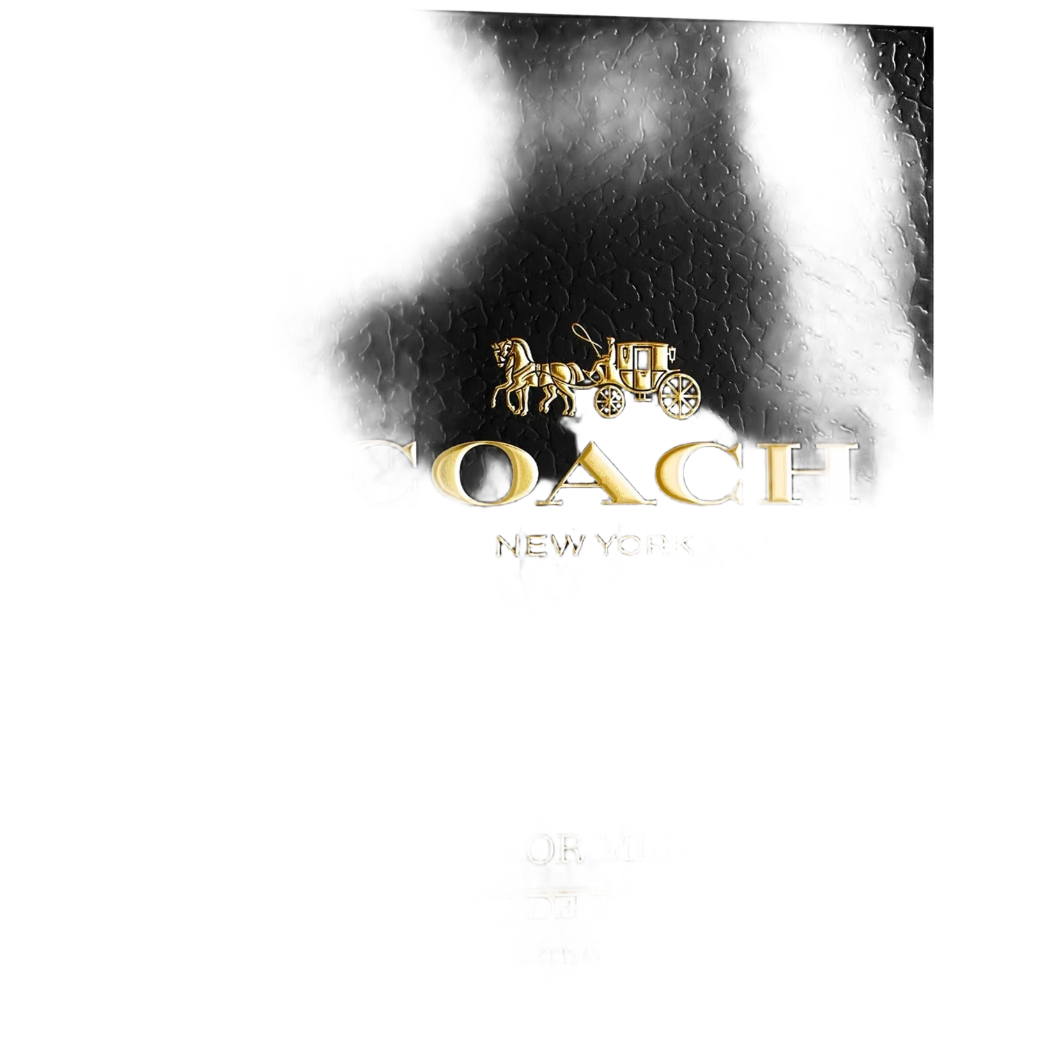 COACH Man