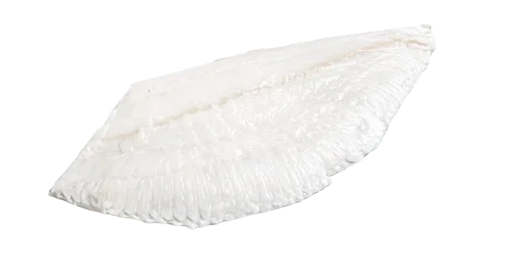 Piggvar Filet Oppdrett pr Kg