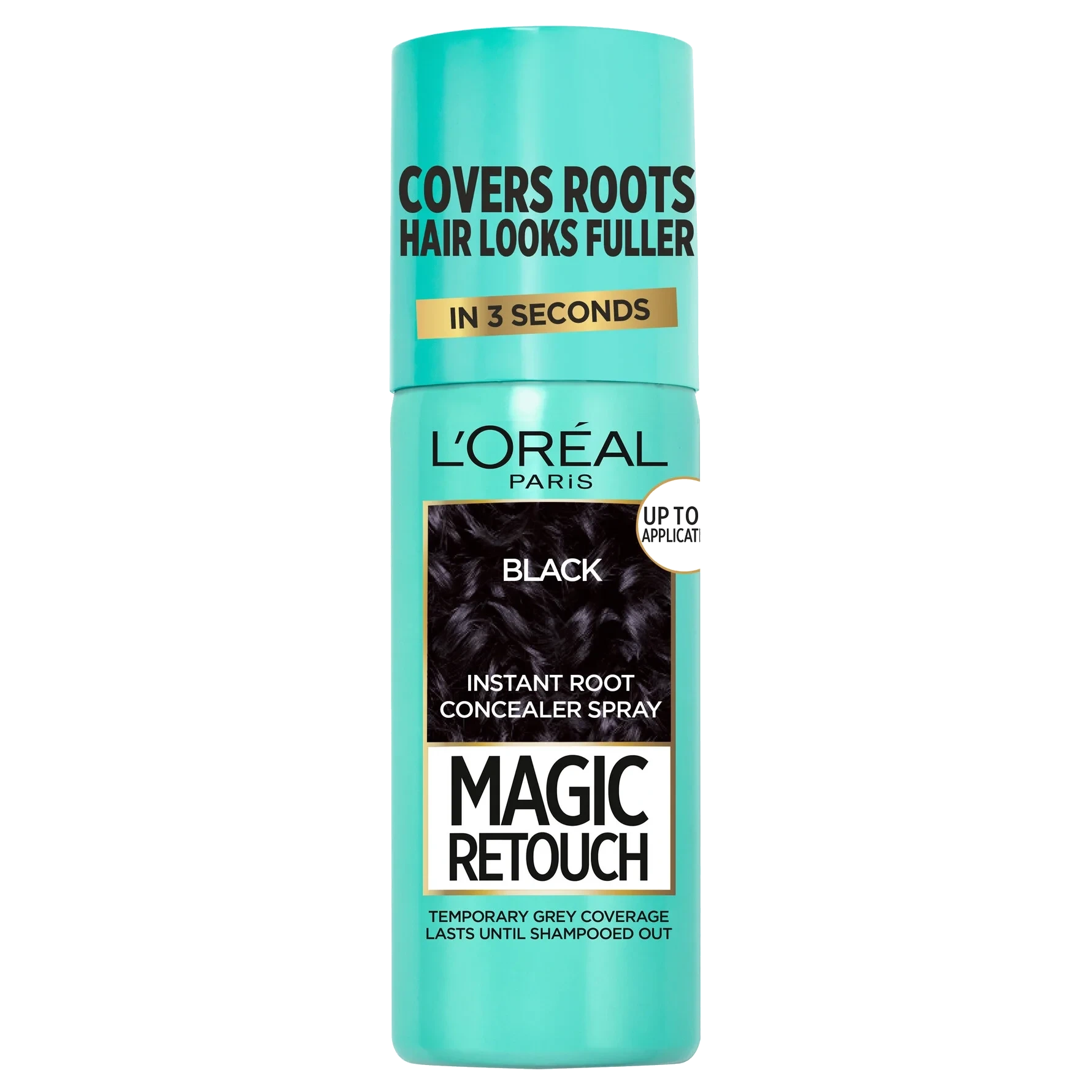 L'Oréal Paris Magic Retouch Direct Color Black