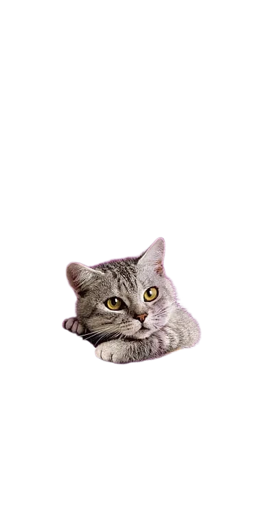 Whiskas® Sticks Kylling 18g