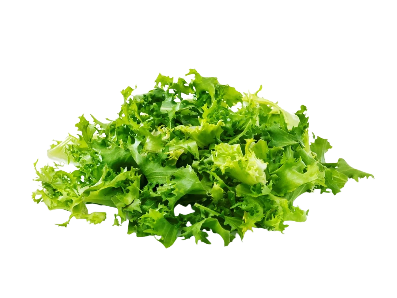 Bama FS Frisée