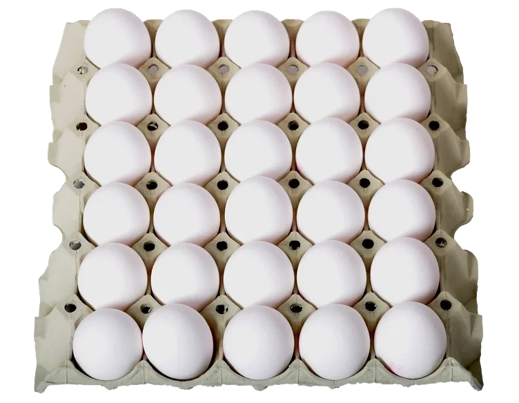 Egg små fra frittgående høner  30stk  1,44kg
