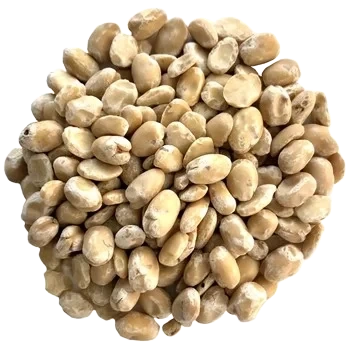 Nordisk Råvara Bondböna, skalad