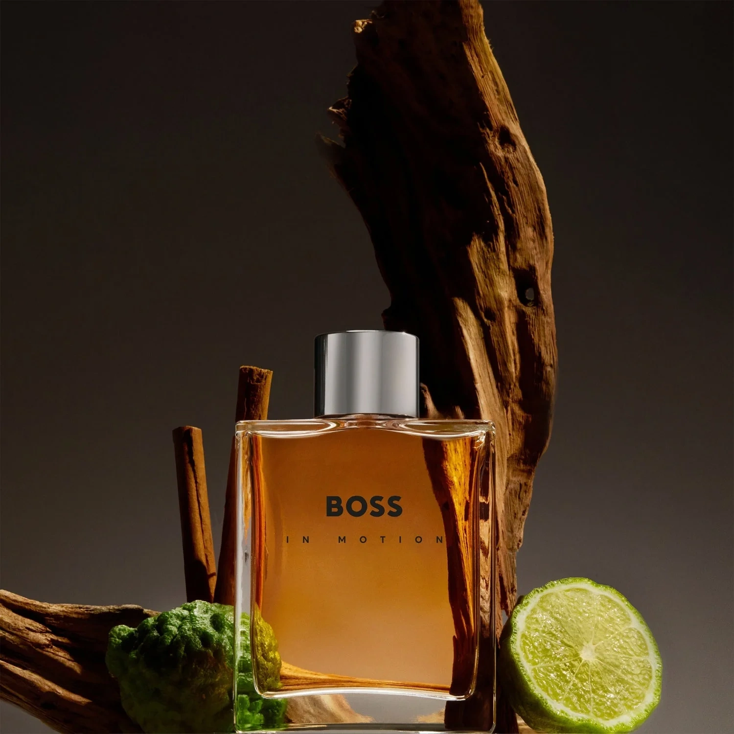 Hugo Boss In Motion